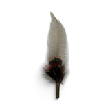 SCUTTLE
